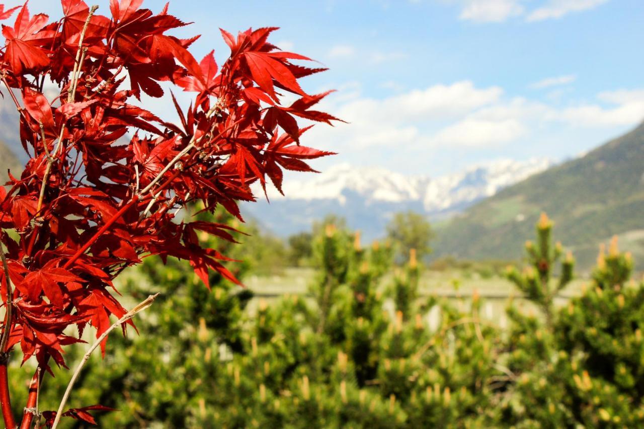Hof Schupfer - Alpstay Naturns Exterior foto