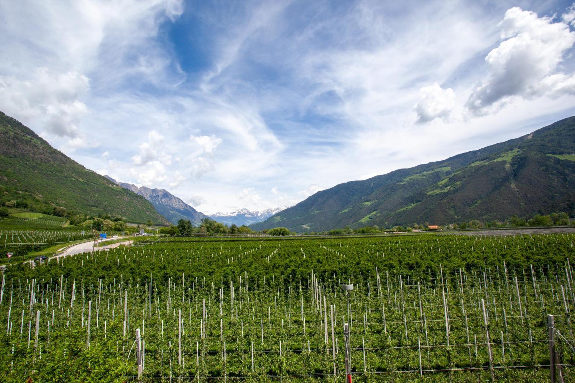 Hof Schupfer - Alpstay Naturns Exterior foto