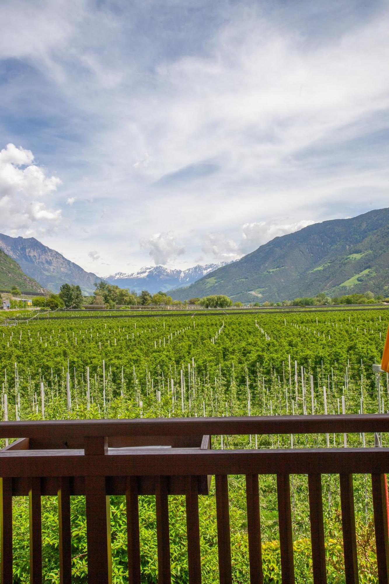 Hof Schupfer - Alpstay Naturns Exterior foto